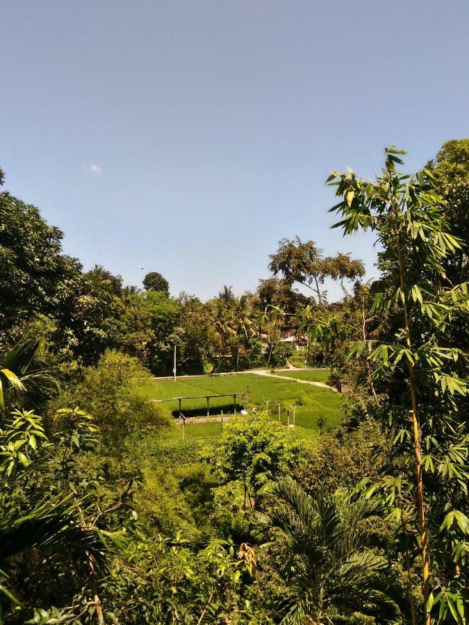 Prasanti Bed & Breakfast Ubud Exteriör bild